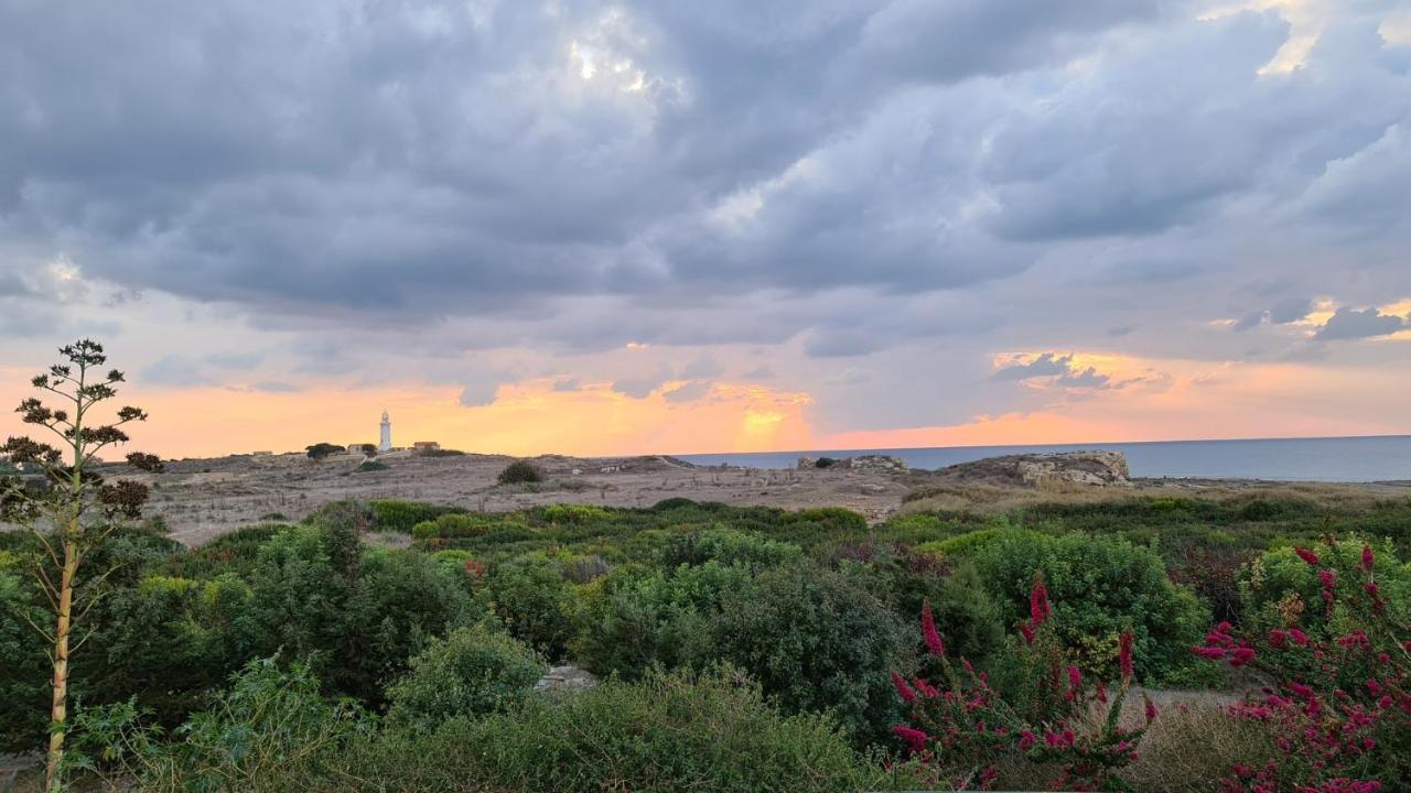 Phaedrus Living: Seaview Luxury Villa Venus Paphos 外观 照片