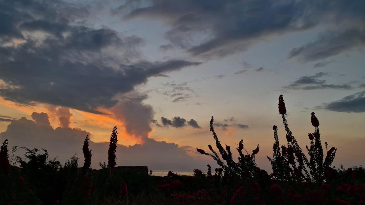 Phaedrus Living: Seaview Luxury Villa Venus Paphos 外观 照片